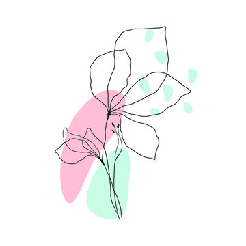 12,715 BEST One Line Drawing Flower IMAGES, STOCK PHOTOS & VECTORS ...