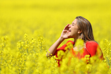 Naklejka na ściany i meble Woman shouting in a yellow field