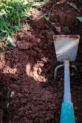 Close-up of soil and gardening tool.