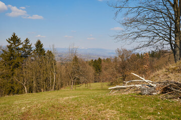 Fototapeta na wymiar Green-yellow grass. Fallen trees. The lawn. Spring forest. Hills. The valley. Mountains in the distance covered with snow. Blue sky with white clouds.