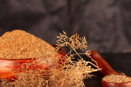 cumin (caraway) spices on wooden spoon,caraway plant with carvi seeds on black background,jira plant, white bowl in zira