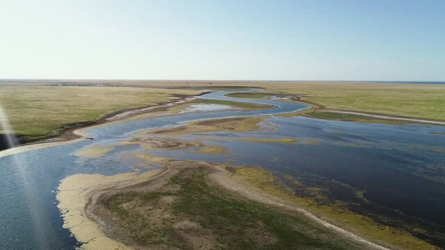 Flying over the surface of the water next to the swamp