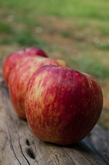 apples on wood with grass background, red fruits with selective focus
