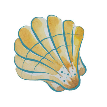 recommend clip art: Watercolour clip art made of seashell.