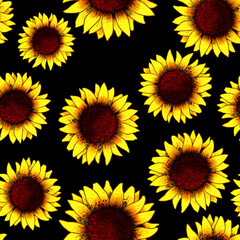 Sunflower bloom, illustrated, colored in yellow, with black background.