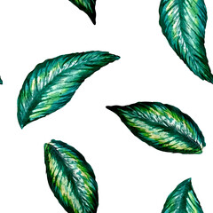 Tropical leaves pattern, in watercolor. White background. isolated