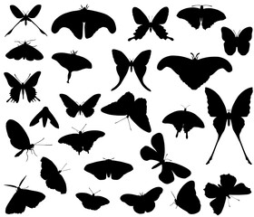 Collection of silhouettes of different species of butterflies