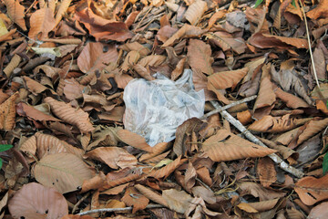 Plastic bag waste amid dry leaves in nature
