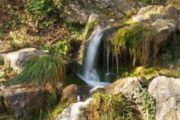 Zoo Wasserfall