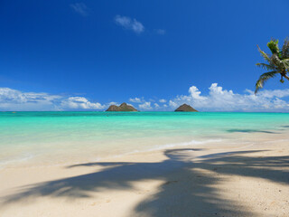 ハワイ、晴天のラニカイビーチ