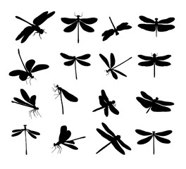 Dragonfly silhouettes, insects. - obrazy, fototapety, plakaty