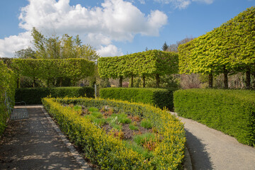 Rest area overlooking filled garden border and neatly trimmed english yew hedgerow