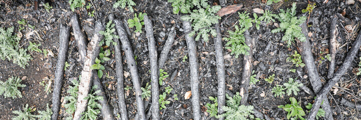 Fototapeta premium Dark texture of charcoal backdrop