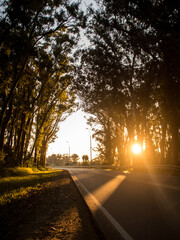 sunset on the road