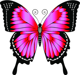 Beautiful delicate air butterfly of red-pink color.