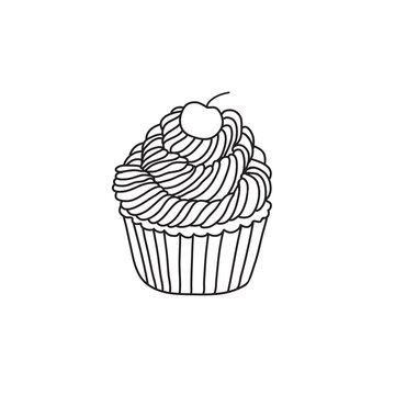 hand drawn cupcake vector illustration in doodle style