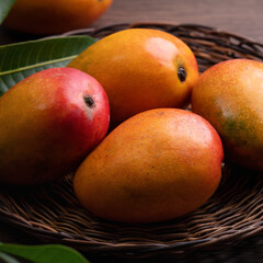 Mango. Fresh mango fruit on a bamboo sieve over dark wooden table background.