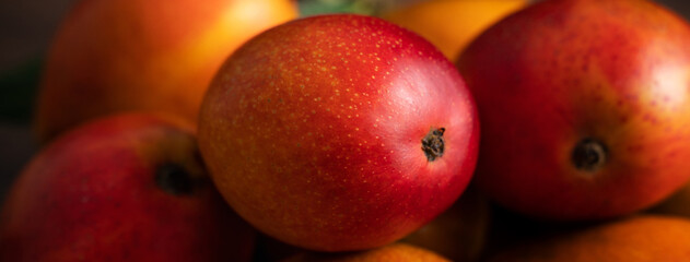 Mango. Fresh mango fruit on a bamboo sieve over dark wooden table background.