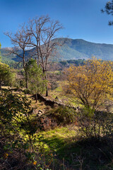 Obraz premium Pico Cervunal en la Sierra de Gredos. España. Europa.