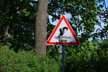 watch out for squirrels