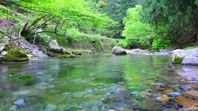 川底が透き通る伏流水の流れる円原川