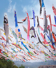 Carp streamers (Koinobori) for Boy's Day festival in Osaka, Japan