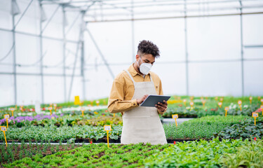 Young african-american man with tablet working in greenhouse, coronavirus concept.