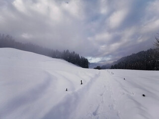 Fototapeta na wymiar snow covered trees, walking on remote path in the alps, Austria (Carinthia)