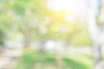 Nature bokeh blur abstract background