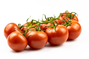  Fresh, ripe tomatoes on a branch isolated on a white background.