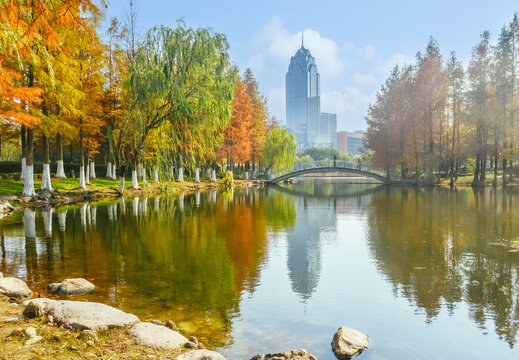 Beautiful landscape of golden autumn season at Yinzhou Park, Ningbo, Zhejiang, China