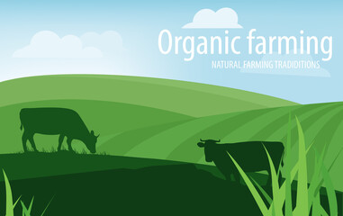 Organic farming. Natural farming traditions. Rural landscape, farm animals and design elements