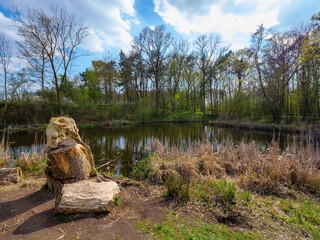 Einsamer See am Wald