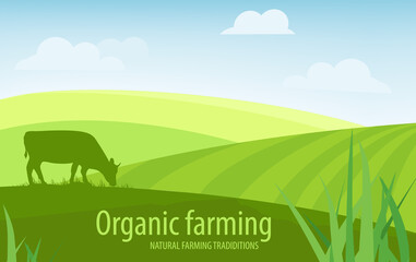 Rural landscape organic farming background