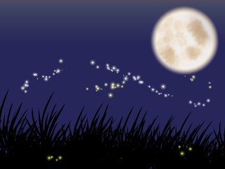 Fototapeta premium moon and fire fly