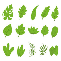 Set leaves plant green color for nature and on white background, Hand drawn vector.