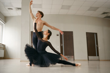 Female and male ballet dancers in action