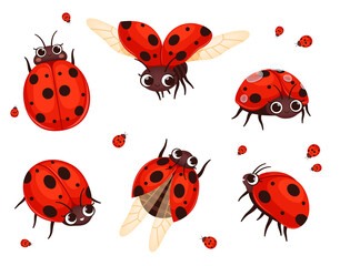 Ladybug. Flying closeup insects in action poses nature bugs nowaday vector illustrations of cartoon red ladybugs