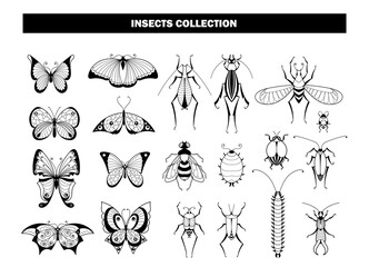 Insect collection. Butterfly beetle dragonfly, black insects silhouettes. Spring summer flying animals, garden pests vector set