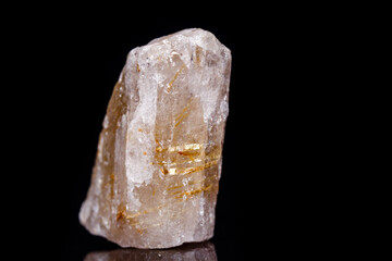 Macro mineral stone Rutile in quartz on black background