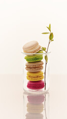 Spring romantic vertical food composition with a set of colorful almond cakes. French dessert - macaroons in a glass jar with a blooming sprig on a light background with a reflection and copy space