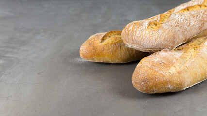 of french baguette bread on grey concrete background . Diagonal. Copyspace for text
