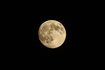 Large full moon close up on black sky