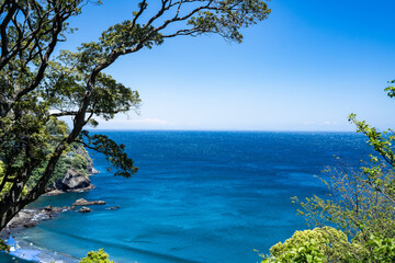 Fototapeta na wymiar 熱海の庭園の景色