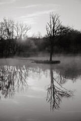 Fototapeta premium Lever de soleil et brume sur le lac 