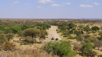 Panoramablick in die Serengeti mit zwei Geländefahrzeugen