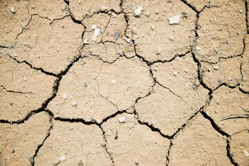 Drought land concept