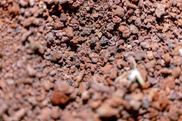 soil texture, macro photo. very close-up.