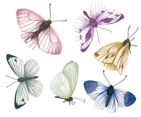 Set of six pastel butterflies, hand drawn vector