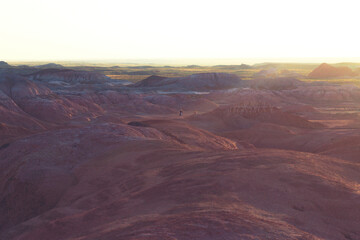 Fototapeta na wymiar Red desert in Asia, Martian view background, desert and small canyon 
